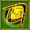 Grand master of online tournament 'HeroesLands2' in 2007