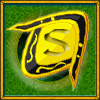 Specialist of online tournament 'HeroesLands2' in 2007
